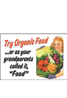 maglietta organic food