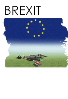 maglietta Brexit