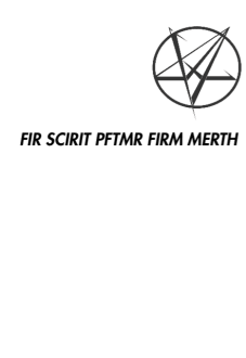 maglietta FIR SCIRIT PFTMR FIRM MERTH III