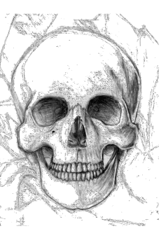 maglietta skull