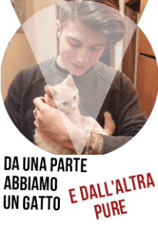 maglietta Ben il gatto