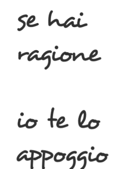 maglietta ragione