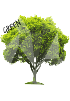 maglietta Tree