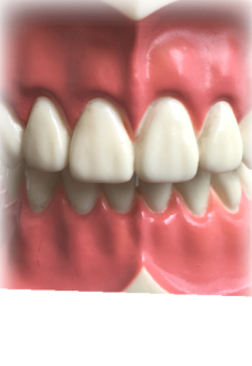 maglietta dental hygienist