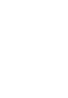 maglietta #ingnoranza #italiana