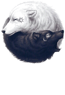 maglietta WOLVES YIN YANG