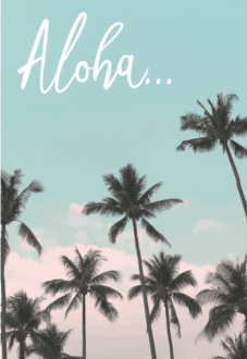 maglietta Aloha!