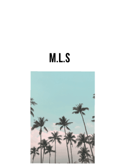 maglietta M.L.S MY LIFESTYLE (PALMS)