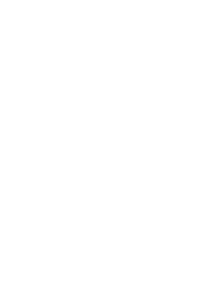 maglietta BeerSaur 