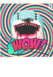 maglietta Shark