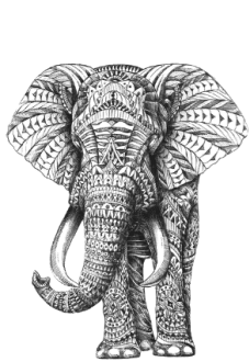 maglietta Elefant