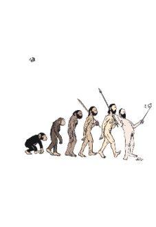 maglietta dis evolution