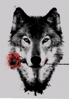 maglietta Romantic wolf