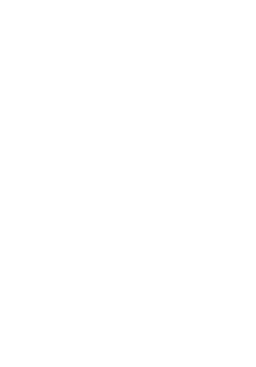 maglietta Brown Crew
