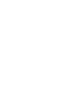 maglietta 