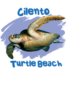 maglietta Turtle Beach 2