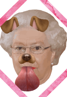 maglietta dogsavethequeen