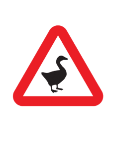 maglietta beware of goose 