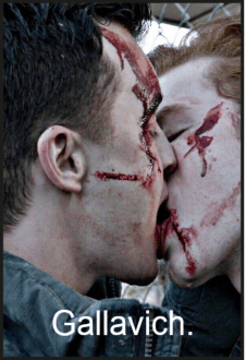 maglietta Gallavich