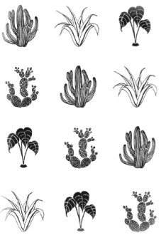 maglietta Cactus pattern
