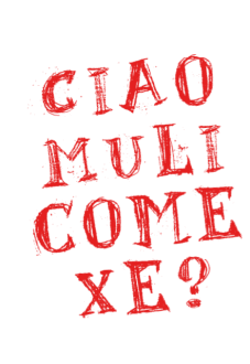 maglietta ciao ragazzi 
