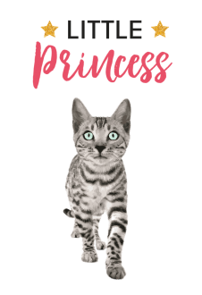 maglietta little princess cat