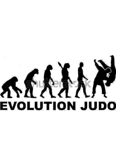 maglietta Evolution Judo 