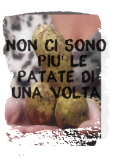 maglietta non ci sono più le patate di una volta