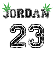 maglietta Jordan 23