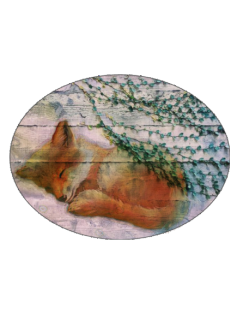 maglietta Sleepy fox