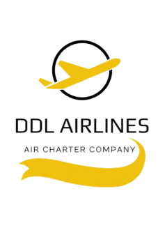 maglietta DDL AIRLINES OFFIAL T-shirt