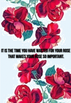 maglietta your rose so important
