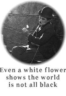maglietta Chaplin's white flower