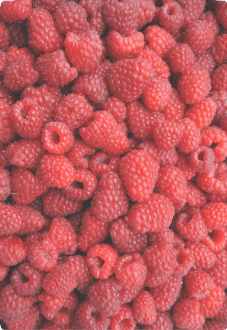 maglietta raspberry