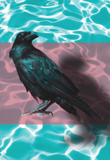 maglietta Floating Crow