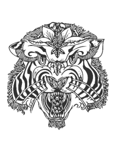 maglietta Wild Tiger 
