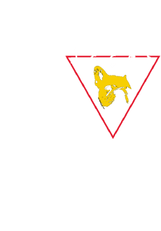 maglietta Jagos