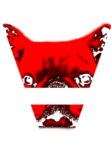 maglietta JAGOS