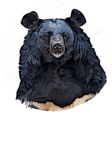 maglietta t-shirt bear 