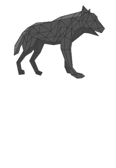 maglietta wolf