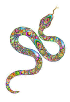 maglietta snake