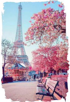 maglietta Paris in pink