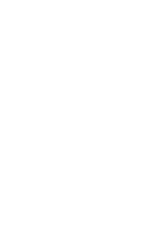 maglietta IDGAF