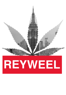 maglietta REYWEEL WEED-YORK