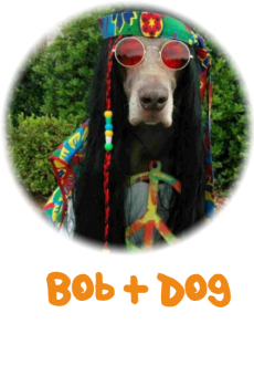 maglietta Bob + Dog 