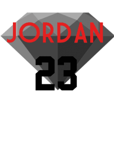 maglietta jordan#23