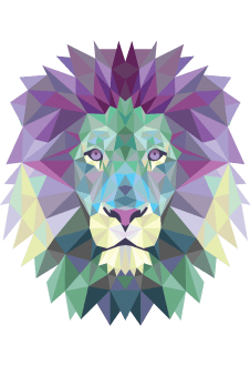 maglietta lion