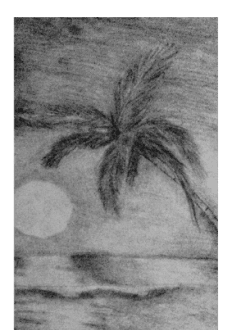 maglietta custom beach sun and coconut. trees. artwork drawn by Na'auao Pai 