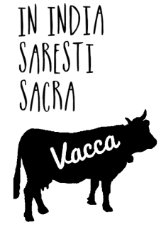 maglietta