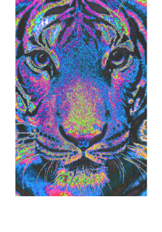 maglietta psychedelic cat